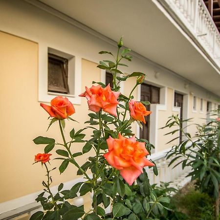 Leonidas Studios Laganas Ngoại thất bức ảnh